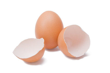 Isolated broken and unbroken eggs