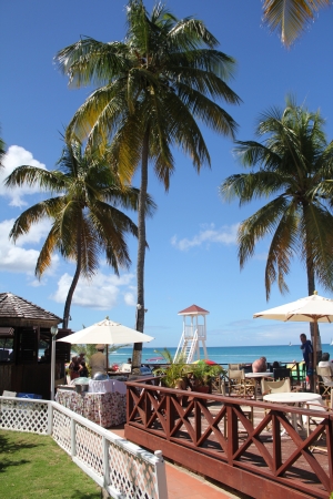 A chef works at a beachside next to a Tiki hut at a posh resort on the Caribbean island of St  Luciaのeditorial素材