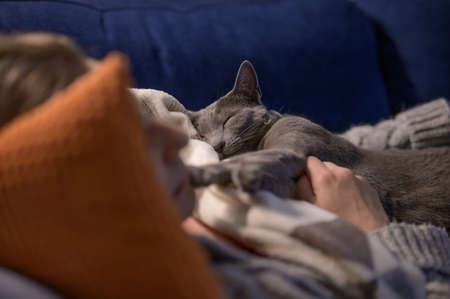 A cat sleeping on a woman. A cat sleeping on a human mom. Cat with mommy. Cat's love for man.の写真素材