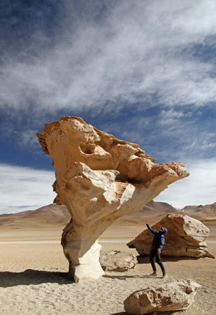 Stone Tree in Uyuni, Boliviaの写真素材