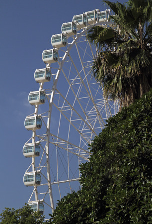 Ferris wheel behind trees in Malaga, Spainの写真素材