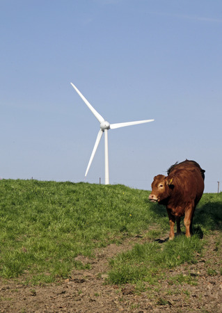 Sustainable agriculture and renewable energyの写真素材