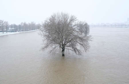 Extreme weather: Trees standing in the water of a flooded foot path in DÃ¼sseldorf, Germanyの写真素材