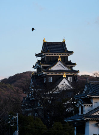 Okayama Castle in Okayama, Japan, during sunsetの写真素材