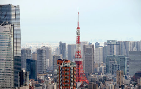 Tokyo skyline with Tokyo towerの写真素材