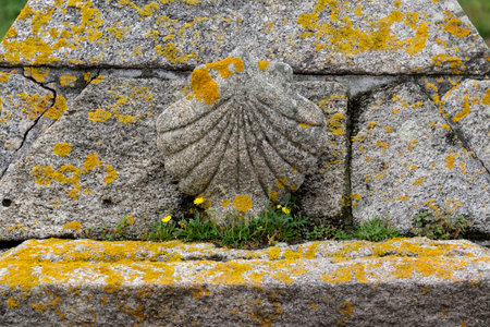 Carved stone scallop shell along the Camino pilgrimage routeの写真素材