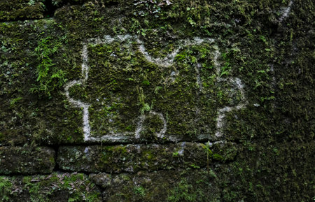 A puzzle piece carved and chalked onto a mossy wallの写真素材