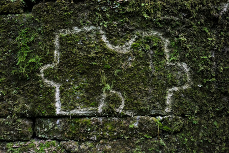 A puzzle piece carved and chalked onto a mossy wallの写真素材
