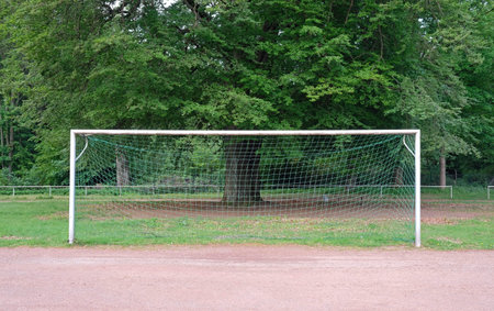 Empty football goal with a tree in the background