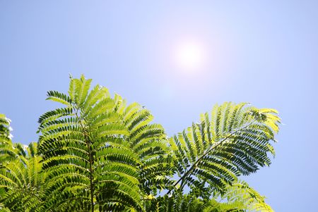 sun shiningの写真素材