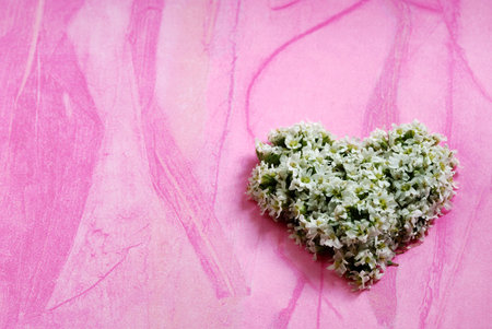 heart