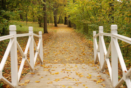 bridge in autumn parkの写真素材