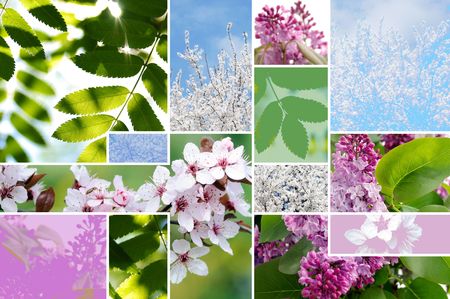 springtimeの写真素材