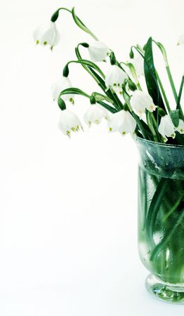 vase with snowdropsの写真素材
