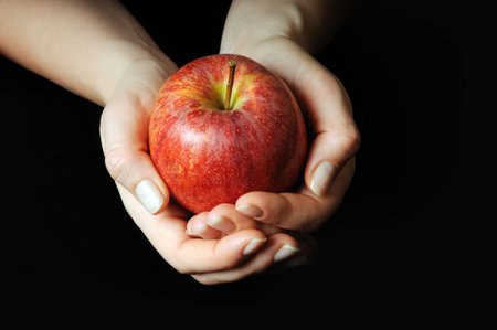 hands with red appleの写真素材