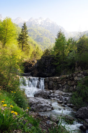 springtime in mountainsの写真素材