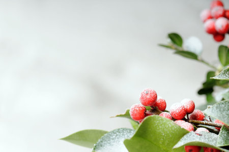 christmas background