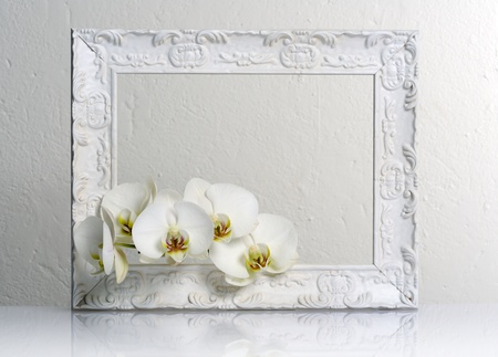 beautiful white frameの写真素材