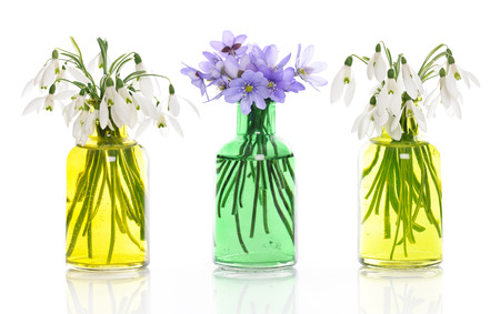 spring flowersの写真素材