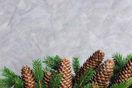 christmas background