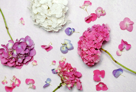 floral composition with hydrangea flowers