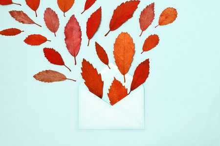 envelope with autumn leaves on light blue background