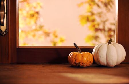 two pumpkins on window backgrondの写真素材