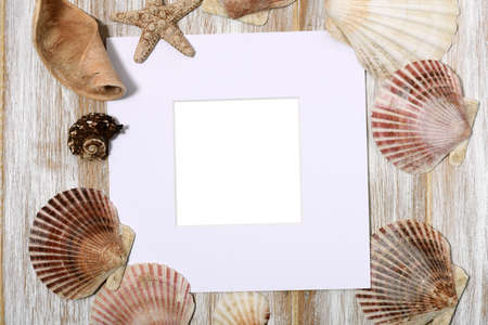 Paper frame with seashells on wooden backgroundの写真素材