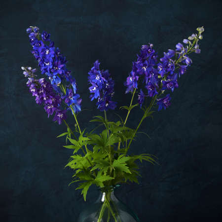 Bouquet of blue delphinium flowersの写真素材