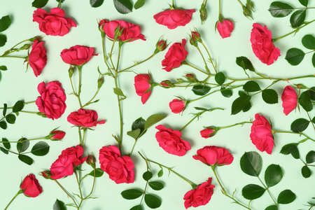 Arrangement of crimson roses on green backgroundの写真素材