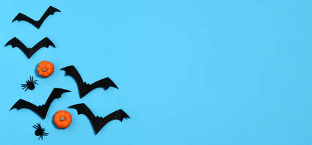 Arrangement of Halloween decoration on blue backgroundの写真素材