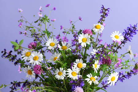 Beautiful summer bouquet of wildflowersの写真素材