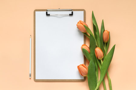 Mock up of clipboard and beautiful orange tulipsの写真素材