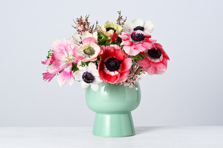 Vase with beautiful anemones on whiteの写真素材