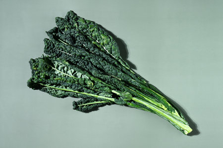 Fresh black cabbage leaves on green background