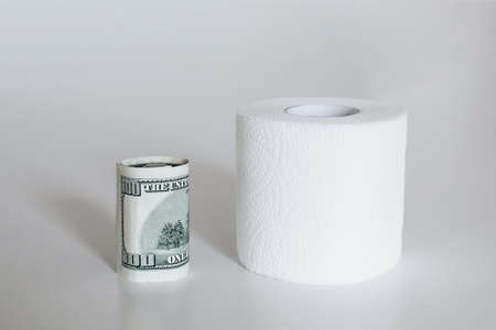 100 dollarbackgrounds rolled up and one roll of toilet paper on a whiteの写真素材