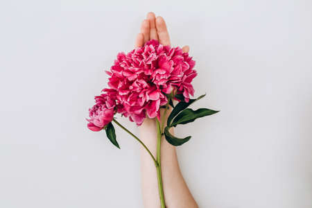 Fashion art hands of a woman in summer and flowers on her hands. Creative beautiful photo of a girl's hand on a light background. Skin care. Beautiful pink peony. High quality photoの写真素材