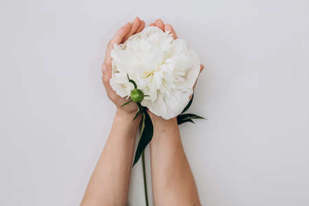 Fashion art hands of a woman in summer and flowers on her hands. Creative beautiful photo of a girls hand on a light background. Skin care. Beautiful white peony. High quality photoの写真素材