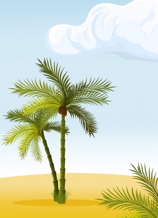 palm island のイラスト素材
