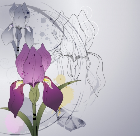 floral background with flowers iris のイラスト素材
