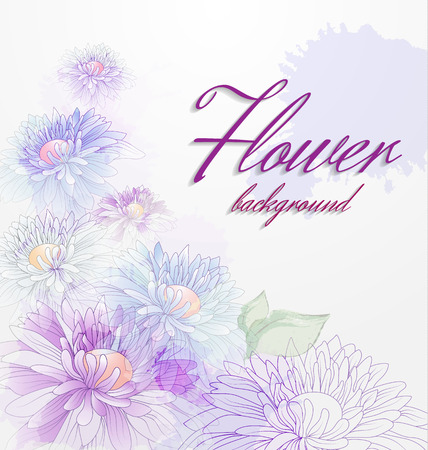 Floral background with chrysanthemums and transparent elementsのイラスト素材