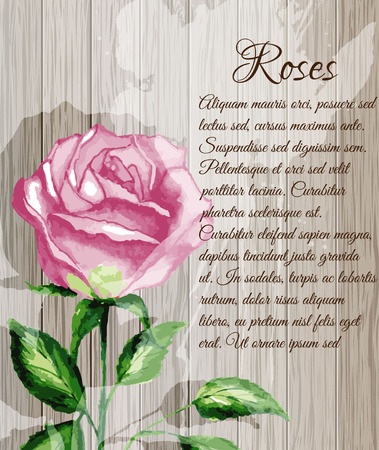 Image of Roses in the watercolor technique on the background of wooden planks.のイラスト素材