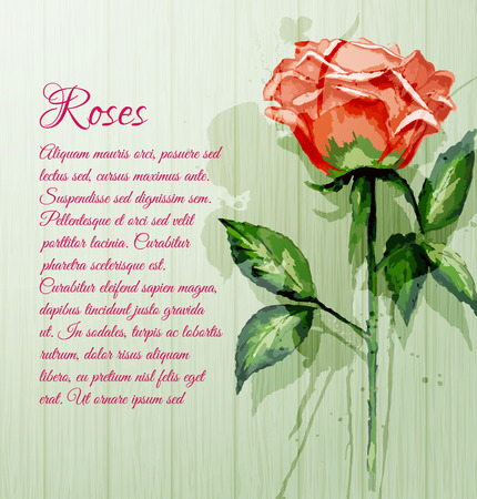 Image of Roses in the watercolor technique on the background of wooden planks.のイラスト素材