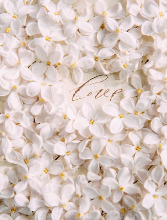 Sight Love on paper, message. Valentine's day. Greeting card template. Design paper with white lilac flowers, flat lay, close up. Bright greeting card with natural flowers. Lilac background.の写真素材