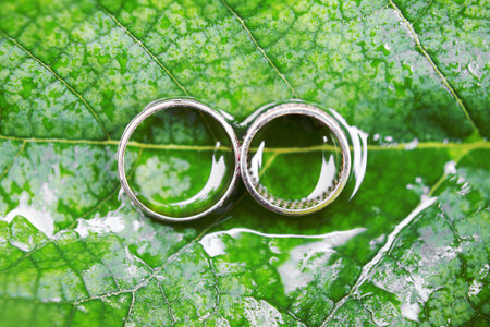 Wedding rings on green leaf with water drops. Top view, macro, closeup
