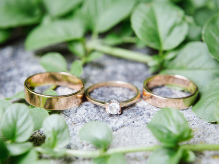 Golden wedding rings on stone surface with fresh green leaves, eternal love concept. Wedding band...