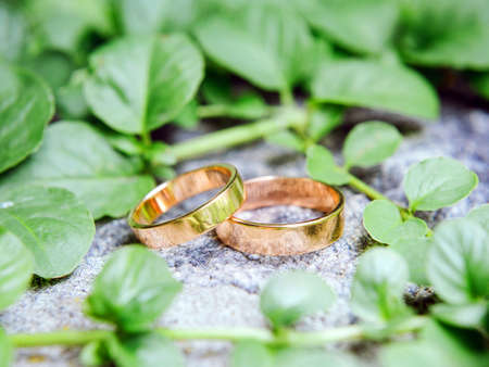 Wedding rings on stone surface with fresh greenery. Summer wedding ceremony concept.の写真素材