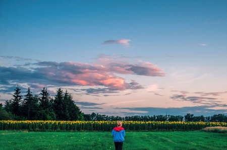 Unity with nature. Young woman alone in a green summer sunflowers field. Looking at cloudy sky,...