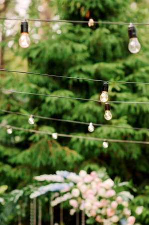 Beautiful electric garland on greenery background, wedding ceremony decoration.の写真素材