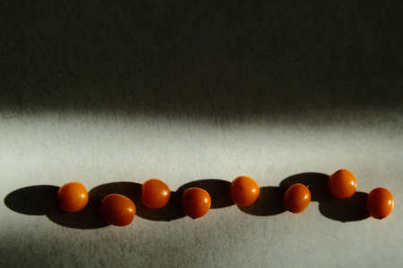 Organic sea buckthorn in a row with deep shadows. Layout on a grey background, flat lay. Fresh orange berries in bright sunlight. Natural valuable food supplement.の写真素材